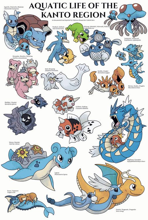 "Pokecology" Pokemon Poster Design of Aquatic Pokemon from the Kanto Region